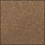hammered front detail hammered front detail