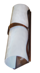 ANWS-1 view 3