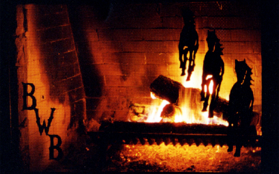Fireplace Screen #3
