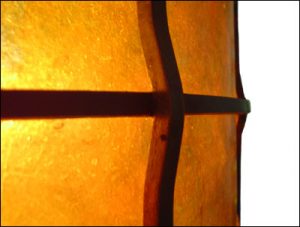 EGPCF-4 detail - close up
